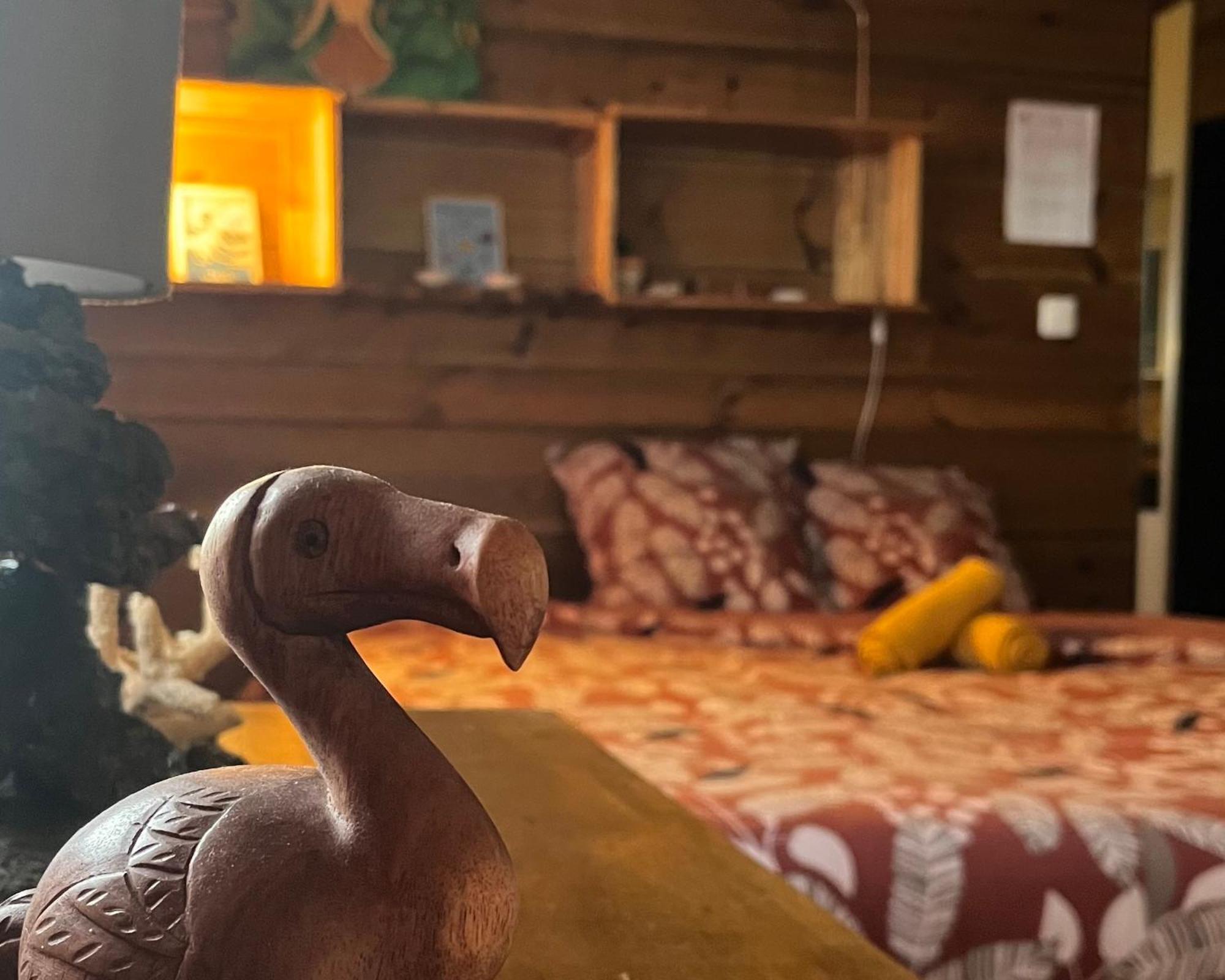 Dodo House Auberge De Jeunesse Saint-Leu Buitenkant foto